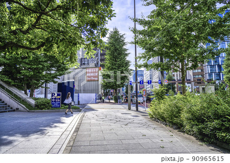 東京の都市風景　新橋・汐留 90965615