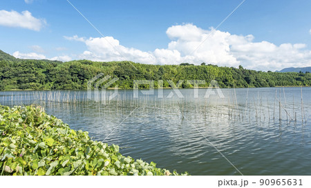 東郷池周辺の新緑・初夏イメージ 90965631