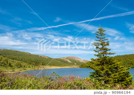 鎌沼　姥ヶ原　ツンドラ草原 90966194