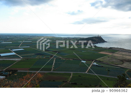 済州島 済州 山 90966362