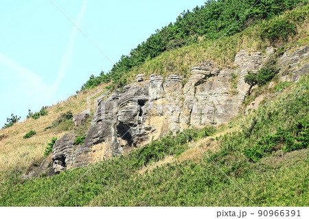 済州島 済州 山 90966391