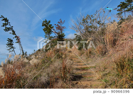 済州島 済州 山 90966396