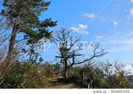 済州島 済州 山 90966400