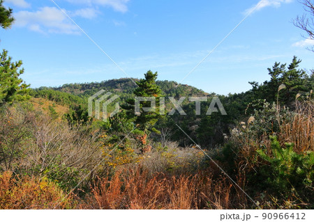 済州島 済州 山 90966412