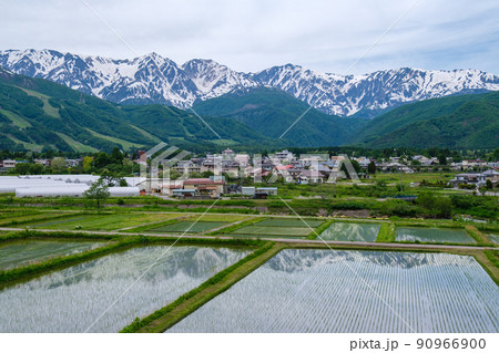 田んぼの映り込み 90966900