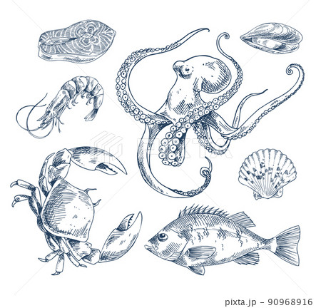 Seafood Sketch Illustration Monochrome Poster Seafood Sketch Illustration Monochrome Poster 90968916