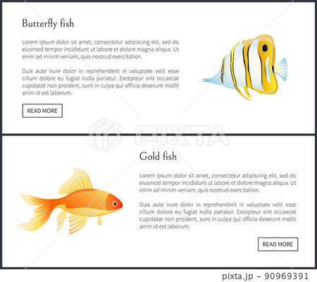 Butterfly and Gold Fish Landing Page with Text 90969391