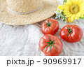 美味しそうに熟したトマト 90969917