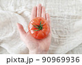 美味しそうに熟したトマト 90969936