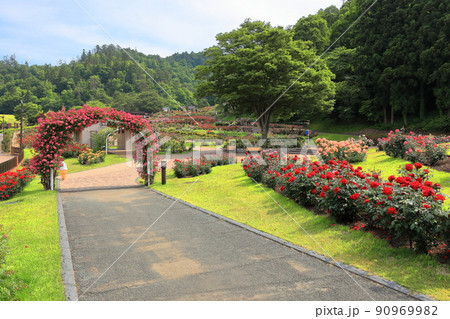 環境省認定 香り風景100選 東沢公園バラ園 環境省認定 香り風景100選 東沢公園バラ園 90969982