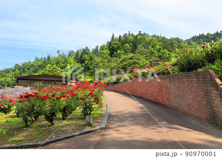 環境省認定 香り風景100選 東沢公園バラ園 90970001