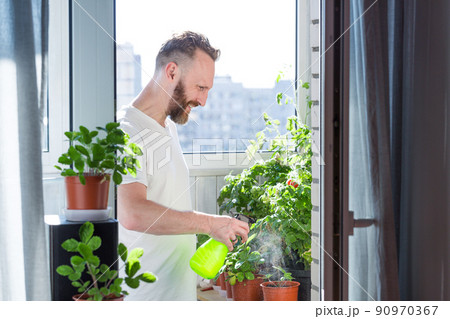 Man growing city balcony garden Man growing city balcony garden 90970367