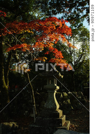 秋の垂井 南宮稲荷神社 90971109