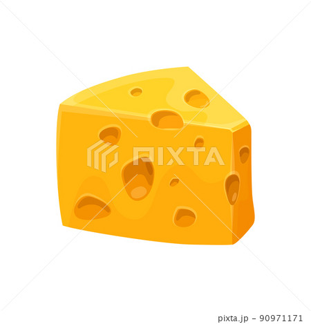 Gouda, radamer or brick cheese, vector icon 90971171