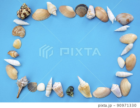 Beautiful seashells are laid out in the form of a frame on a blue background. Vacation on the beach. Flat lay, Place for text 90971330