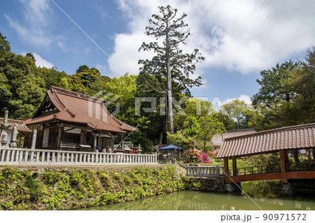 東広島市にある福成寺の風景 90971572
