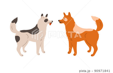 Two dogs standing in front of each other vector illustration Two dogs standing in front of each other vector illustration 90971841