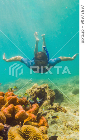 Young tourist man swimming in the turquoise sea under the surface near coral reef with snorkelling mask for summer vacation VERTICAL FORMAT for Instagram mobile story or stories size. Mobile wallpaper Young tourist man swimming in the turquoise sea under the surface near coral reef with snorkelling mask for summer vacation VERTICAL FORMAT for Instagram mobile story or stories size. Mobile wallpaper 90972697