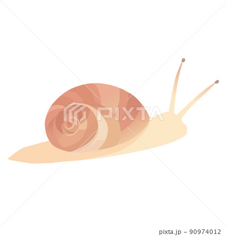 カタツムリのイラスト 90974012