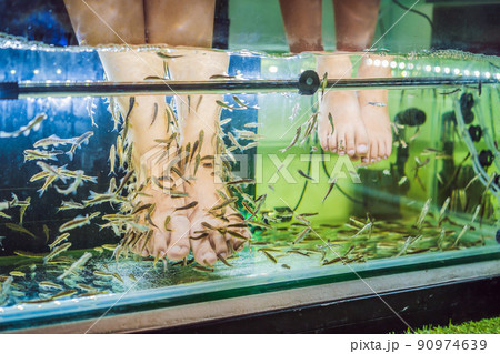 Mom and son at the fish spa 90974639