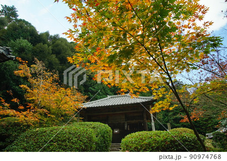 秋の朝倉山 真禅院 秋の朝倉山 真禅院 90974768