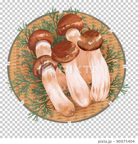 濾鍋上松茸蘑菇和松樹的逼真插圖 90975404