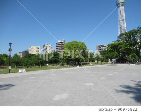 隅田公園（墨田区）の広場 90975822