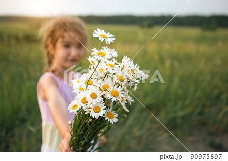 Portrait cute child girl with a bouquet of chamomile in summer on a green natural background. Happy child, hidden face, no face, covered with flowers. Copy space. Authenticity, rural life, 90975897