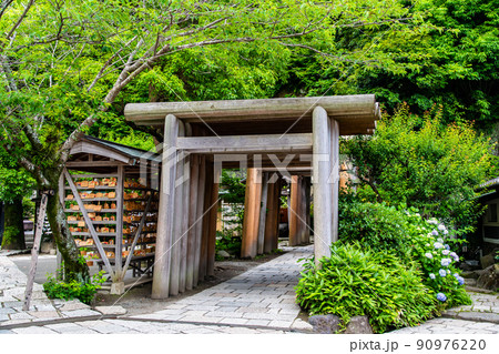 神奈川県鎌倉市　銭洗弁財天宇賀福神社　～境内の鳥居群～ 90976220