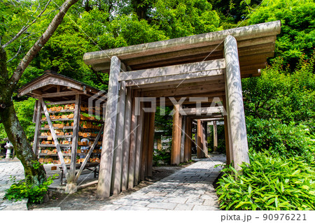 神奈川県鎌倉市　銭洗弁財天宇賀福神社　～境内の鳥居群～ 90976221