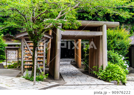 神奈川県鎌倉市　銭洗弁財天宇賀福神社　～境内の鳥居群～ 90976222