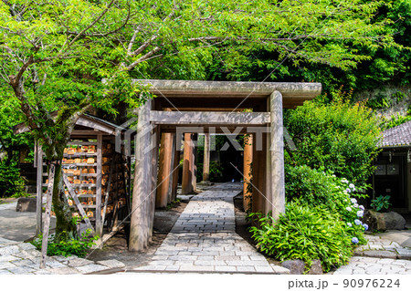 神奈川県鎌倉市　銭洗弁財天宇賀福神社　～境内の鳥居群～ 90976224
