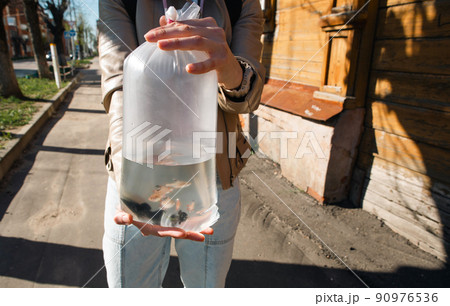 aquarium fish in a package for transportation to the aquarium. Safe relocation of fish purchased in the store. A woman has a bag of water in her hand on the street. Pets 90976536