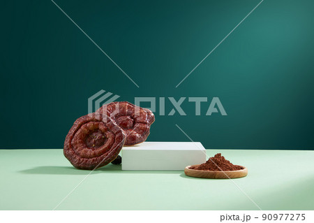 Front view of lingzhi mushroom in brown background Front view of lingzhi mushroom in brown background 90977275