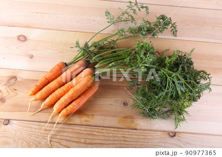 Carrots harvest Carrots harvest 90977365
