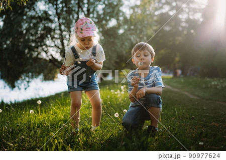 Cute little children blowing off dandelion seeds on sunset in park. Photo with backlight 90977624