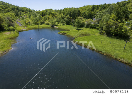 洞爺 西山山麓火口を空撮（西新山沼） 90978113