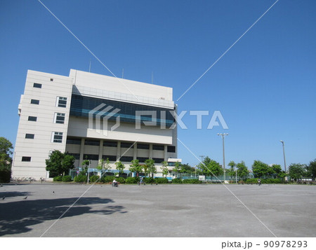 隅田公園の広場 隅田公園の広場 90978293