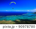 石垣島 パラグライダー体験 90978780