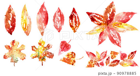 Watercolor hand painted autumn set. Leaves. High quality illustration 90978885