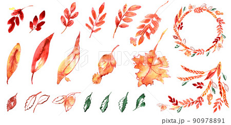 Watercolor hand painted autumn set. Leaves. High quality illustration Watercolor hand painted autumn set. Leaves. High quality illustration 90978891