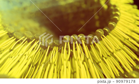 3D rendering lipid bi-layer cell anatomy - 3D Rendering 3D rendering lipid bi-layer cell anatomy - 3D Rendering 90979178