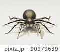 3d rendered of Spider Tarantula. Largest spider in terms of leg-span is the giant huntsman spider, orthographic front view 90979639