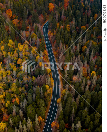 Top view of curvy road passing through the bright autumn forest Top view of curvy road passing through the bright autumn forest 90979843