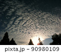 羊雲 90980109