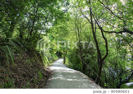 【クイーンズタウン】クイーンズタウントレイル 90980601