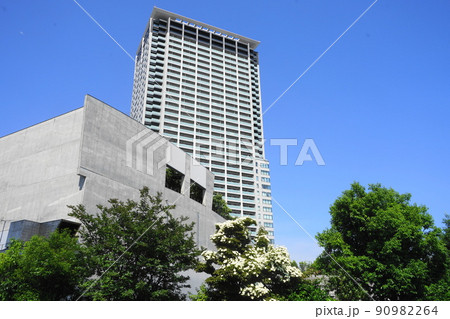 6月　目黒161ヤマボウシと目黒天空庭園 90982264