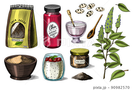 Chia plant and seeds. Salvia hispanica. Spice packaging, wooden spoon and dessert cup and pudding. A Chia plant and seeds. Salvia hispanica. Spice packaging, wooden spoon and dessert cup and pudding. A 90982570