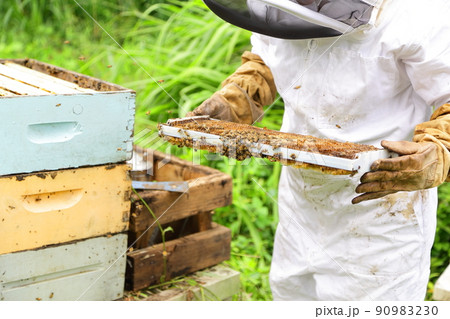 巣箱の状態を確認する養蜂家 90983230