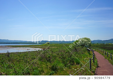 北海道 キムアネップ岬 北海道 キムアネップ岬 90984779